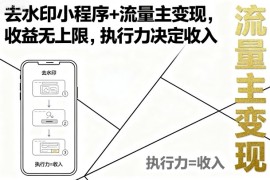 去水印小程序 流量主变现，收益无上限，执行力决定收入