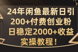 24年闲鱼最新日引200 付费创业粉日稳2000 收益，实操教程【揭秘】