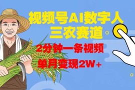 视频号AI数字人玩转三农赛道，2分钟一条视频，单月变现2W 