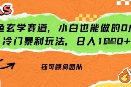 闲鱼玄学赛道，小白也能做的0成本冷门暴利玩法，日入多张
