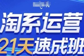 淘系运营21天速成班(更新25年6月)，0基础轻松搞定淘系运营，不做假把式
