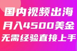 国内爆款视频出海赚美刀，实战月入4500美金，批量无脑搬运，无需经验直接上手