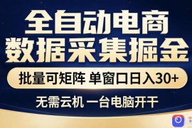 全自动电商数据采集掘金，批量可矩阵单窗口日入30 ，无需云机一台电脑开干【揭秘】