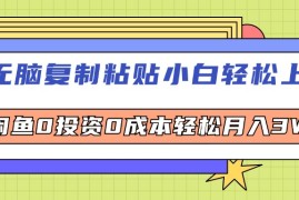 （12258期）无脑复制粘贴，小白轻松上手，电商0投资0成本轻松月入3W 