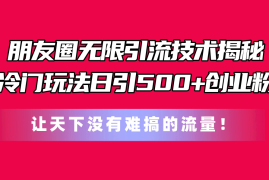 （11031期）朋友圈无限引流技术揭秘，一个冷门玩法日引500 创业粉，让天下没有难搞…