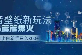 （9842期）抖音壁纸号新玩法，作品篇篇爆火，日收益500 