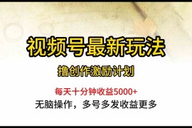 （10087期）视频号最新玩法，每日一小时月入5000 
