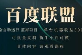 （13181期）百度联盟自动运行 运行稳定 单机300 