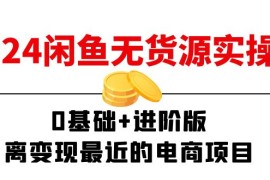 （11535期）2024闲鱼-无货源实操班：0基础 进阶版，离变现最近的电商项目（15节）