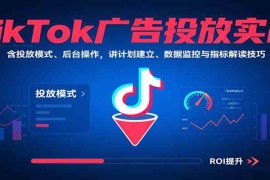 TikTok广告投放实战，含投放模式、后台操作，讲计划建立、数据监控与指标解读技巧
