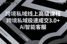 跨境私域线上高级课程，跨境私域极速成交3.0 Ai智能客服