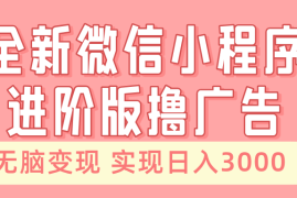 （13197期）全新微信小程序进阶版撸广告 无脑变现睡后也有收入 日入3000＋