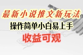 最新小说推文新玩法，操作简单，小白易上手且收益可观