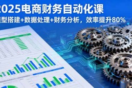 （16021期）2025电商财务自动化课，模型搭建 数据处理 财务分析，效率提升80%