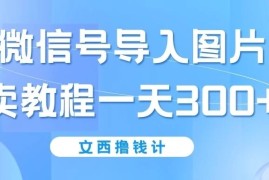 将微信号导入图片，卖教程一天300 （无脑操作！有手就会！）