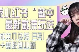 最新小红书截流玩法 独家截中截 单号成本几块钱 日引500 CY粉JZ粉