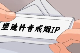 24蓝海赛道，塑造抖音戒烟IP，新手小白日入500 