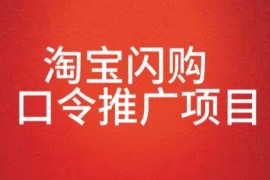 淘宝闪购口令推广项目，收益可观，一部手机，一个抖音号即可操作