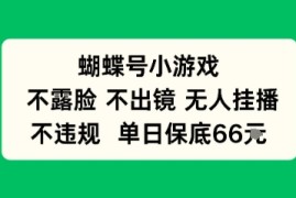 蝴蝶号小游戏，不露脸不出境 无人挂播，不违规 单日保底66米