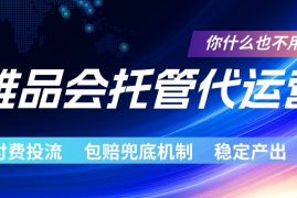 唯品会托管代运营 付费投流玩法 包赔兜底机制 稳定产出