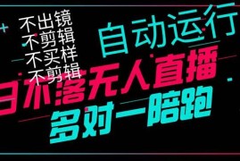 （14432期）日不落无人直播、让你赚到手软，不出镜 不剪辑 不囤货 不买样日赚1000…