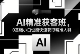 AI精准获客班，0基础小白也能快速获取精准人群