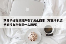 苹果手机突然没声音了怎么回事（苹果手机突然间没有声音是什么原因）