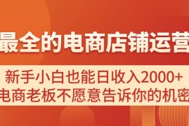 （11266期）电商店铺运营教学，新手小白也能日收入2000 ，电商老板不愿意告诉你的机密