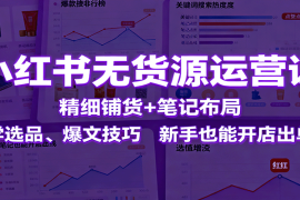 小红书无货源运营课：精细铺货 笔记布局，学选品、爆文技巧，新手也能开店出单