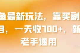 闲鱼最新玩法，靠买副业项目，一天收700 ，新手老手通用【揭秘】