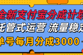 全新支付宝分成代运营，独家技术，收益稳定，单号月入3000＋