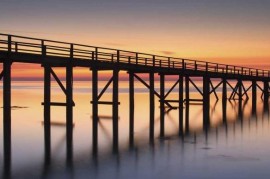 windows手机论坛(windows mobile手机大全)