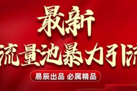 最新“流量池”无门槛暴力引流(全网首发)日引500 