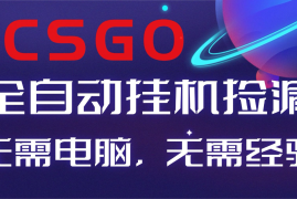 【副业好项目】全球火爆游戏CSGO自动捡漏，新手小白日入500 