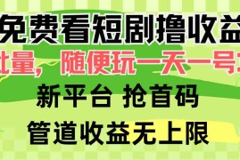 （9747期）免费看短剧撸收益，可挂机批量，随便玩一天一号30 做推广抢首码，管道收益