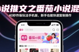 小说推文之番茄小说混剪40秒炸裂玩法手机版，新手也能快速复制操作