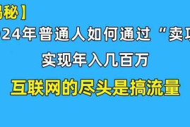 （10005期）新手小白也能日引350 创业粉精准流量！实现年入百万私域变现攻略