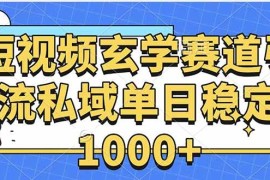 （15759期）玄学赛道引流私域变现单日稳定1000 教程