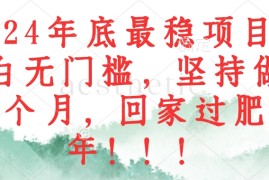 （12970期）2024年底最稳项目，小白无门槛，坚持做三个月，回家过肥年！！！