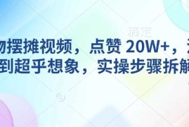 AI动物摆摊视频，点赞 20W ，流量好到超乎想象，实操步骤拆解