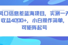 风口信息差蓝海项目，实测一天收益4k ，小白操作简单，可矩阵起号