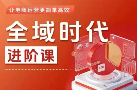 全域时代进阶课，更简单高效的全域投放实操，让电商运营更简单高效(更新0908)