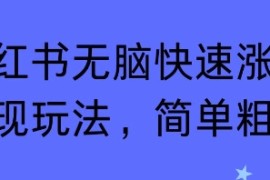 小红书无脑快速涨粉变现玩法，简单粗暴