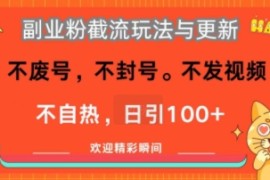 副业粉截流玩法与更新，不废号，不封号，不发视频，不自热，日引100 
