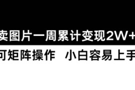 小红书【卖图片】一周累计变现2W 小白易上手