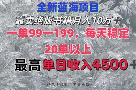 （12512期）靠卖绝版书籍月入10W ,一单99-199，一天平均20单以上，最高收益日入4500 