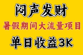 （11558期）闷声发财，假期大流量项目，单日收益3千  ，拿出执行力，两个月翻身