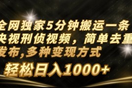 全网独家5分钟搬运一条央视刑侦视频，简单去重发布，多种变现方式，轻松日入1000 