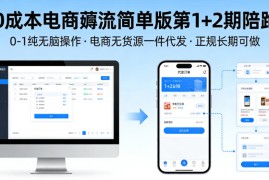 0成本电商薅流简单版第1 2期陪跑，0-1纯无脑操作，电商无货源一件代发，正规长期可做