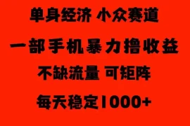 26年暴力单身经济，稳定日入500-1k，不缺流量，流量极大，冷门小众赛道，门槛低小白轻松上手【揭秘】